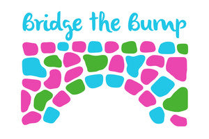 Bridge the Bump Inc.